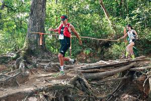 BIB: 
                            <button type="button" onclick="openModal(27556361)" class="btn btn-primary btn-sm float-right btn-popup" data-toggle="modal" data-target=".modal-high-quality">
                        <i class="fas fa-shopping-cart"></i> Add to Cart
                    </button>
                                            <button type="button" onclick="isThisMe(27556361, true)" class="btn btn-success btn-sm float-right btn-popup btn-isme hidden" data-toggle="tooltip" data-placement="bottom" title="นี่คือรูปของคุณใช่ไหม คลิกที่นี่เพื่อเอาเข้าอัลบั้ม">
                        <i class="fas fa-plus"></i> Add to album
                    </button>
                    <button type="button" onclick="isThisMe(27556361, false)" class="btn btn-warning btn-sm float-right btn-popup btn-isnotme hidden">
                        <i class="fas fa-ban"></i> Remove from album
                    </button>